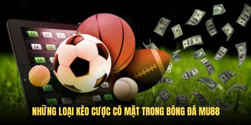 Tổng hợp những loại kèo có mặt trong bóng đá