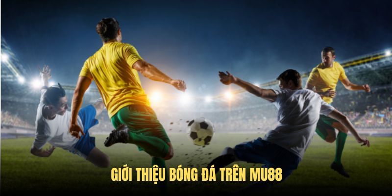 Giới thiệu bộ môn bóng đá MU88